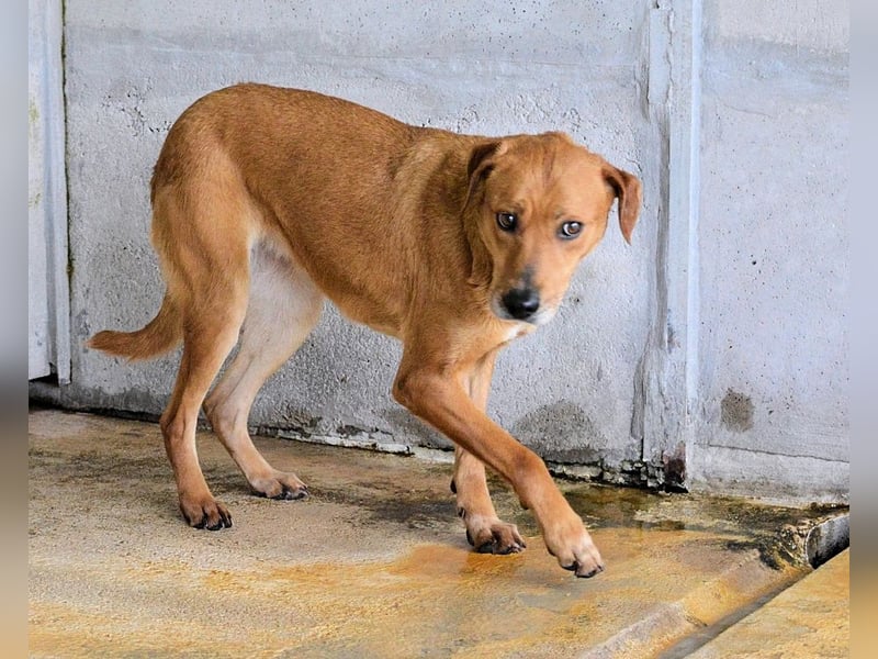 Idalee - Die Wunde namens Zeit