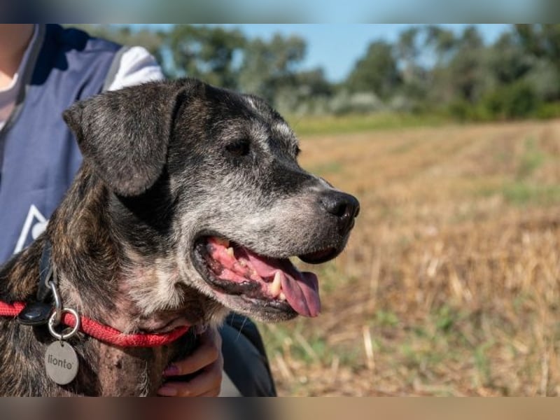 Gweni - SOS - Hoffnung auf ein Ende der Odyssee