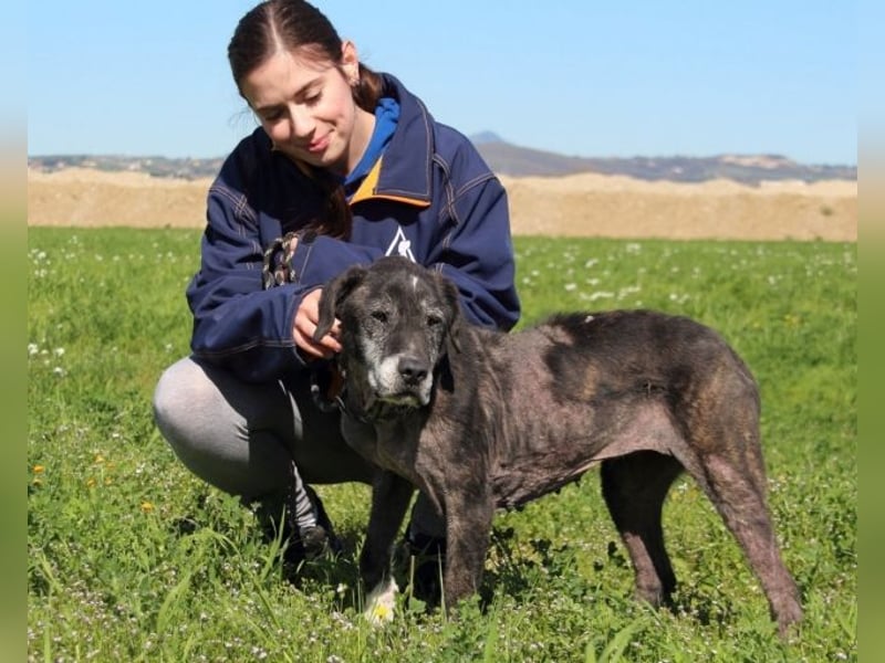 Gweni - SOS - Hoffnung auf ein Ende der Odyssee