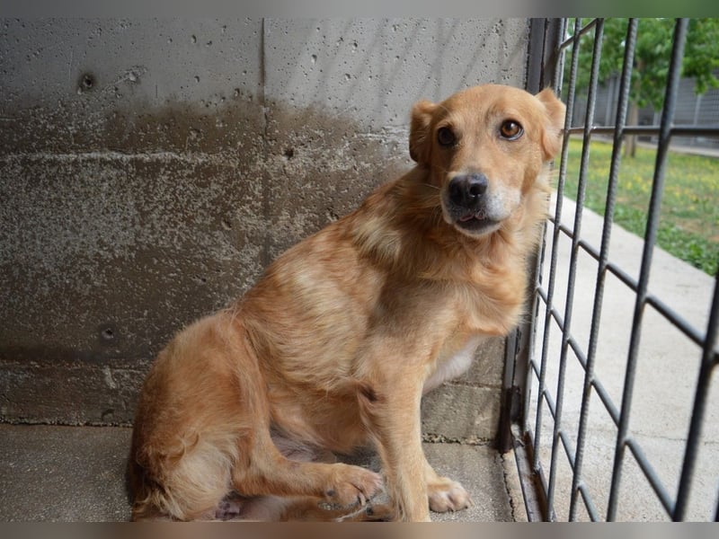 Ferelith - Was wäre, wenn....