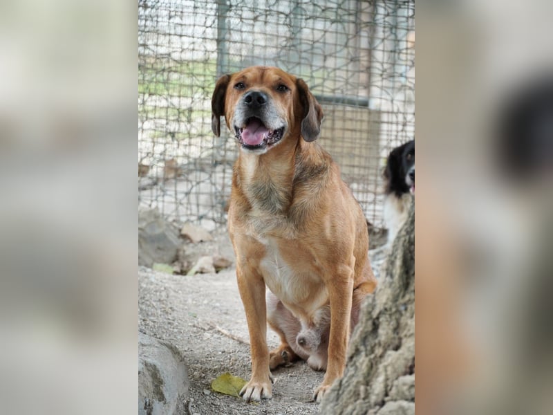 Houdini - Sind Sie Houdinis Houdini?