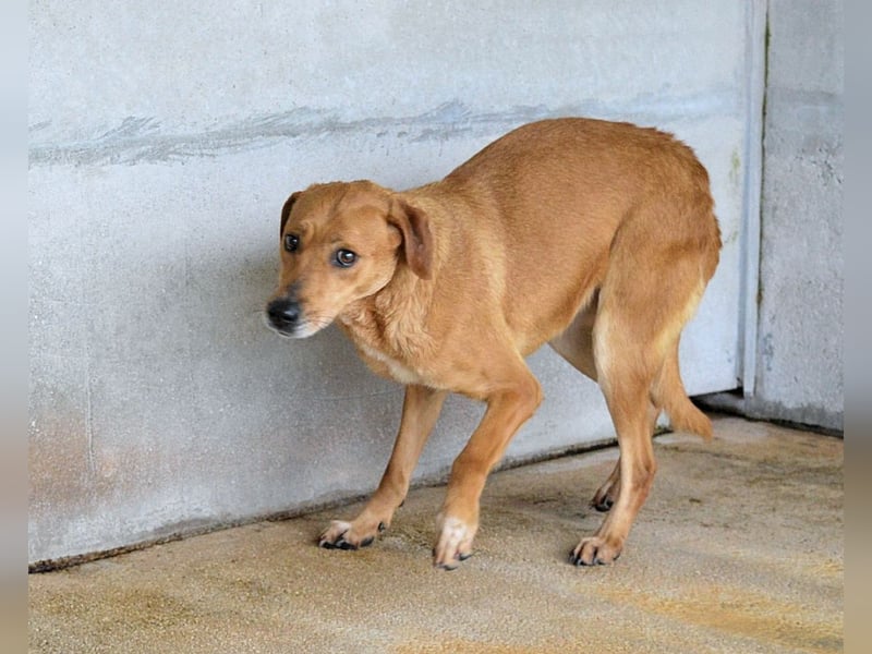 Idalee - Die Wunde namens Zeit