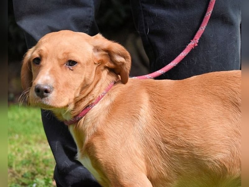 Wixelle - Als Mama noch bei uns war