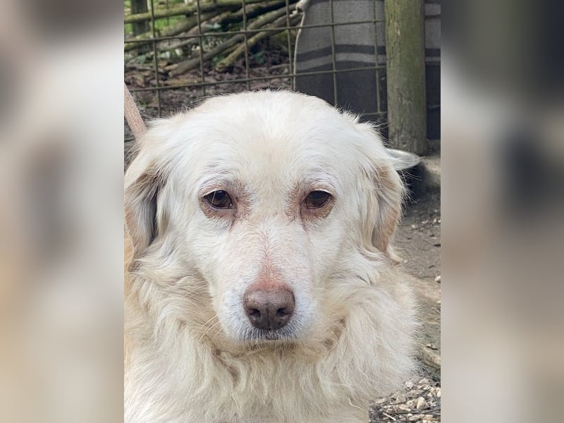 Ruby - wenn aus vorsichtigem Mut echtes Vertrauen wächst