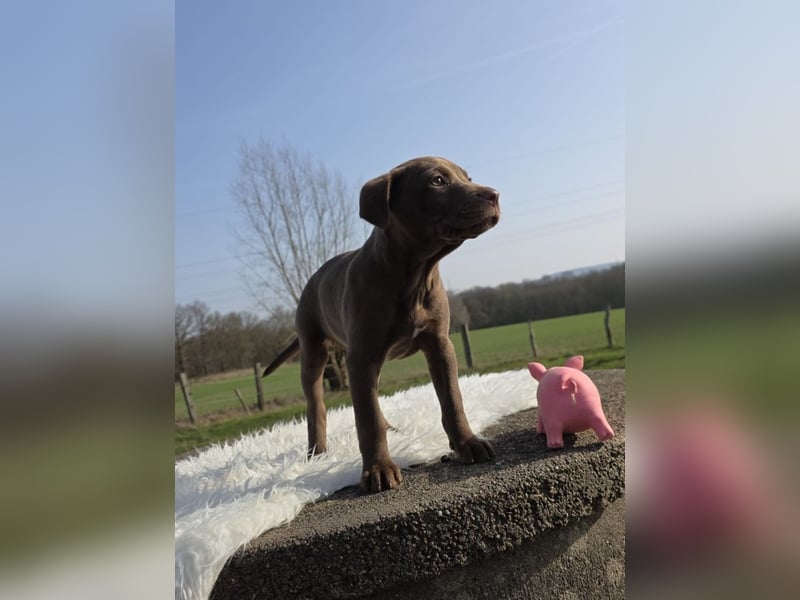 Liva - Also ehrlich, wir sind doch nur Babys!