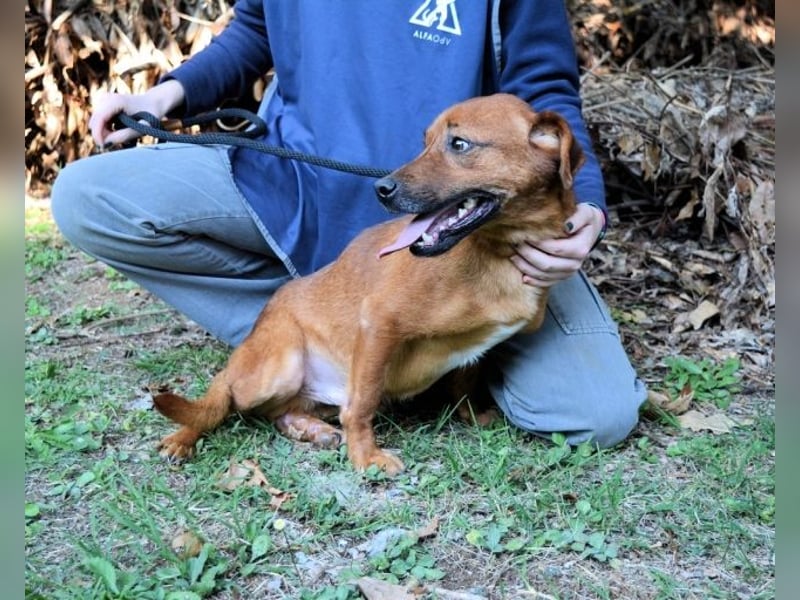 Monaldo - In der Ruhe liegt die Kraft!