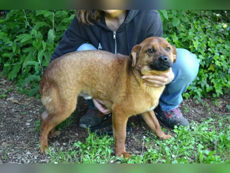 Monaldo - In der Ruhe liegt die Kraft!