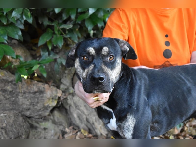 Kristian - SOS - Braucht ganz dringend ein Ausreiseticket