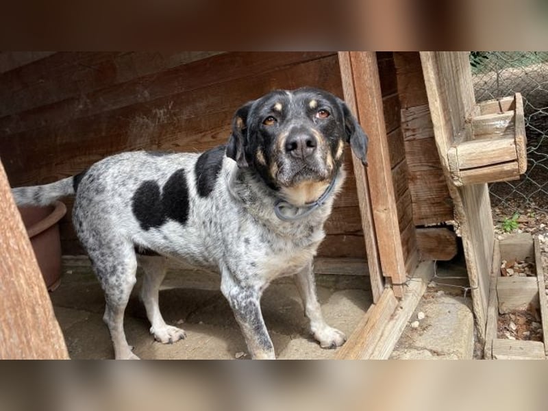 Bice - Das hat sie nicht verdient