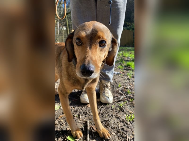 Kiro - Einmal alles auf (Neu)Anfang bitte!