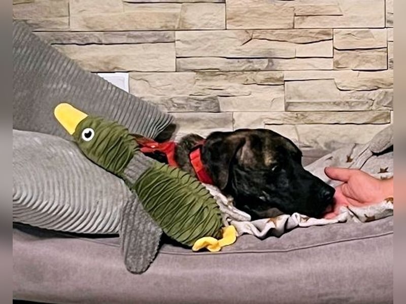 Branson - taut langsam auf und sucht Menschen mit Zeit