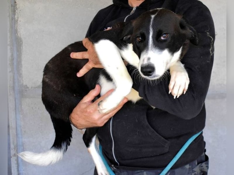 Dorezia - Teamplayerin sucht Stammplatz