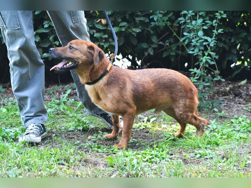 Monaldo - In der Ruhe liegt die Kraft!