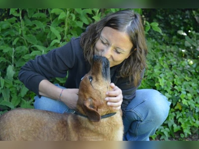 Monaldo - In der Ruhe liegt die Kraft!