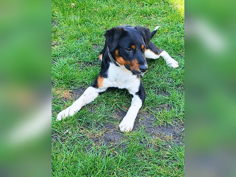 Zelia - Menschen zum Lachen bringen, das ist der Plan