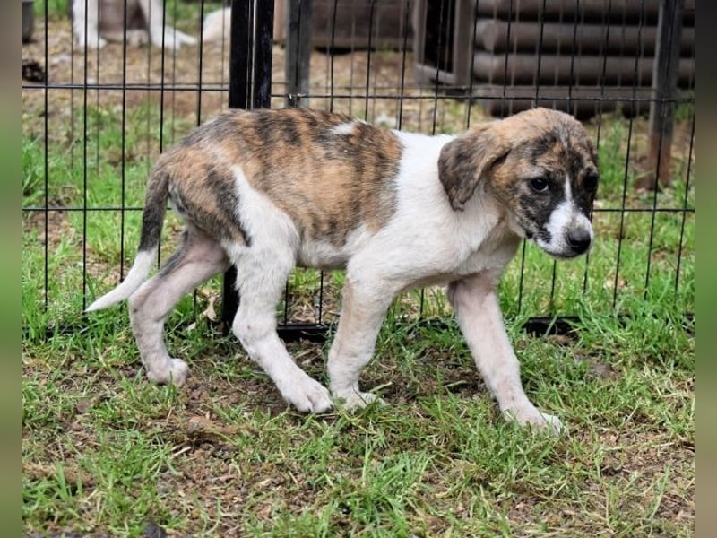 Woola - Als Mama noch bei uns war