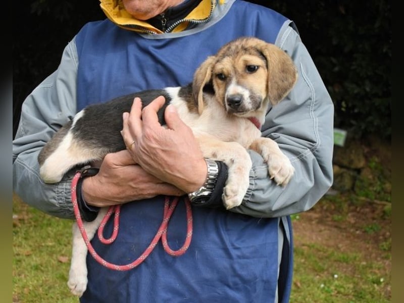 Wasker - Als Mama noch bei uns war