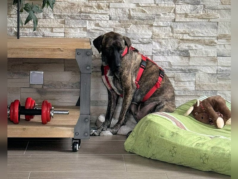 Branson - taut langsam auf und sucht Menschen mit Zeit