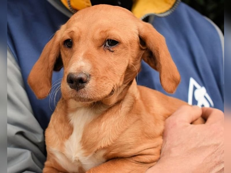 Wixelle - Als Mama noch bei uns war