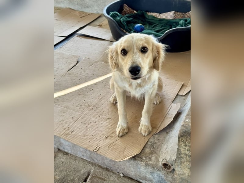 Demy - Das Leben könnte so schön sein!
