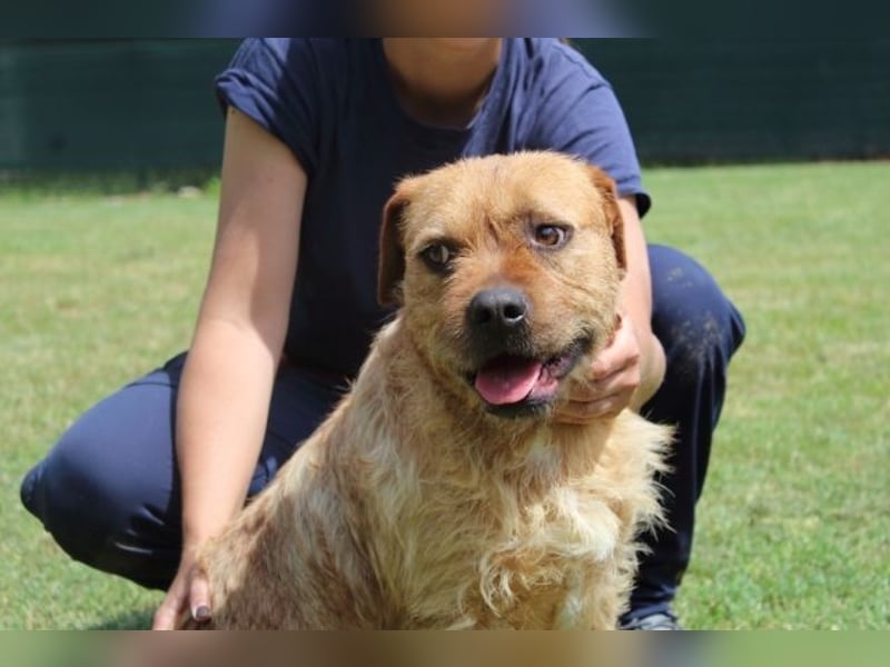 Icarus - Ein freundlicher Charmeur