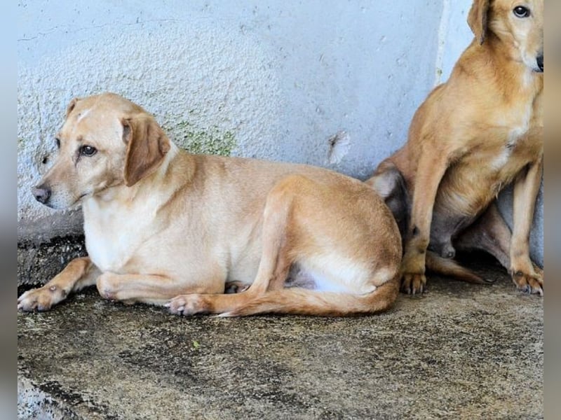 Bendix - wenn du mutig bist, dann bin ich es auch!