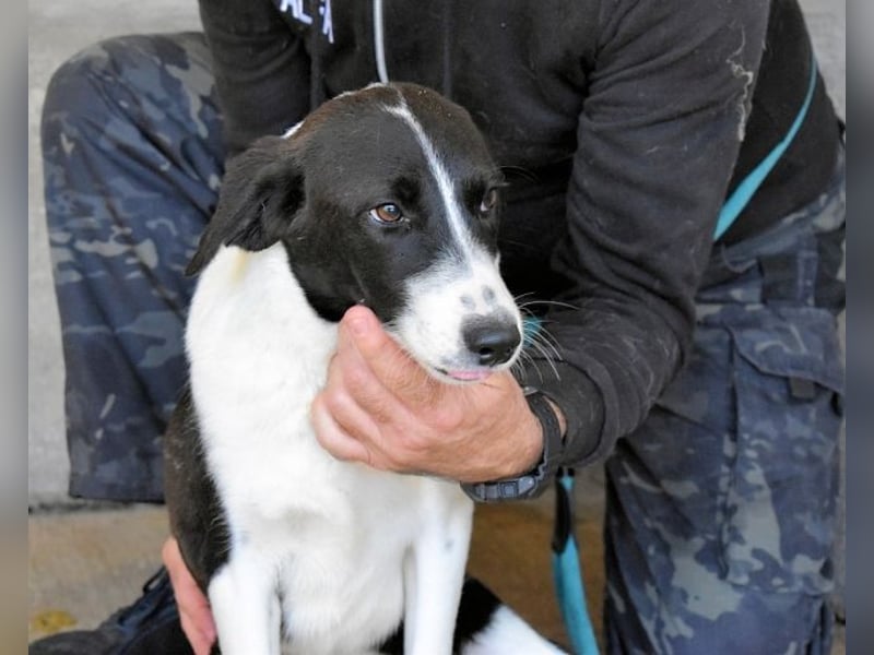 Dorezia - Teamplayerin sucht Stammplatz