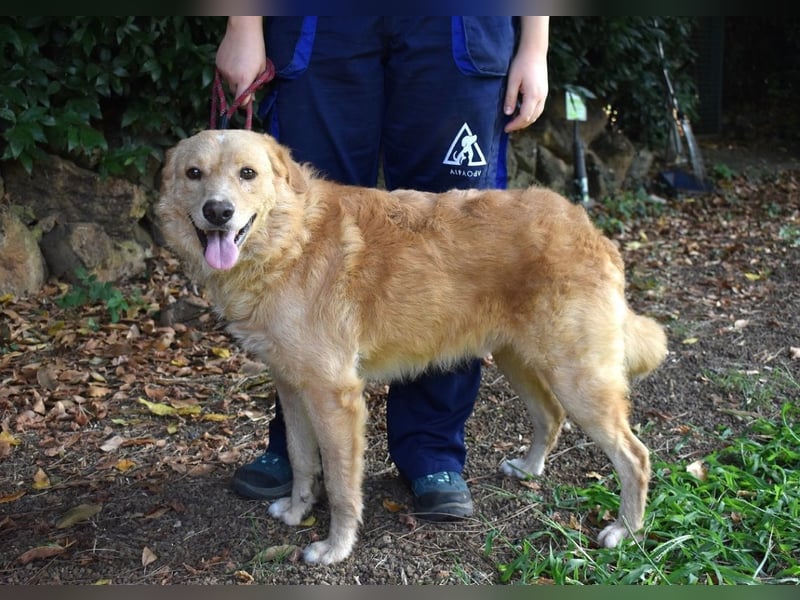 Gibble - Wie ein Wort, das auf der Zunge liegt ...