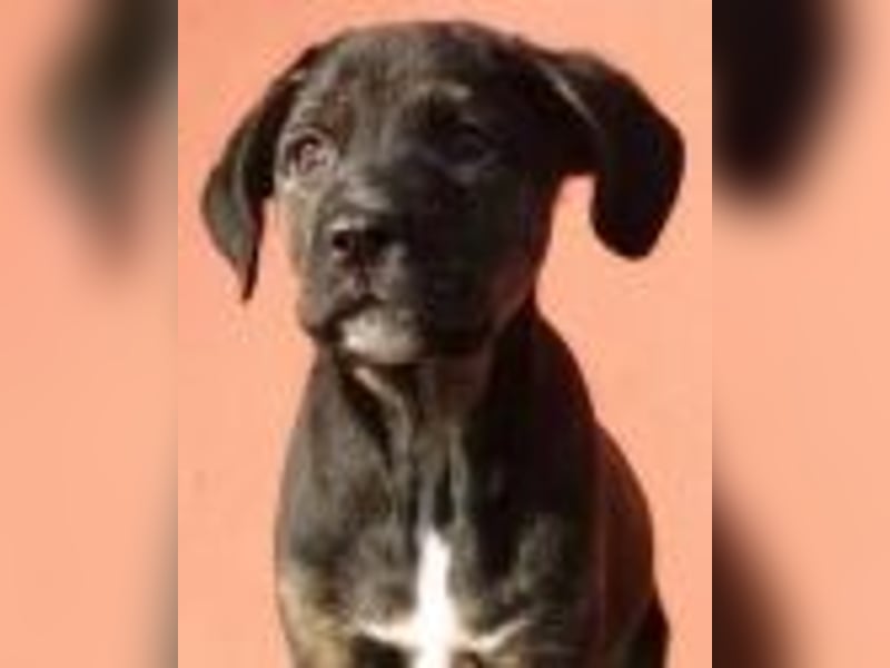 Adam - Sieben Jahre - und noch ein ganzes Leben vor sich