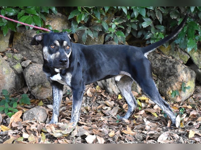 Kristian - SOS - Braucht ganz dringend ein Ausreiseticket