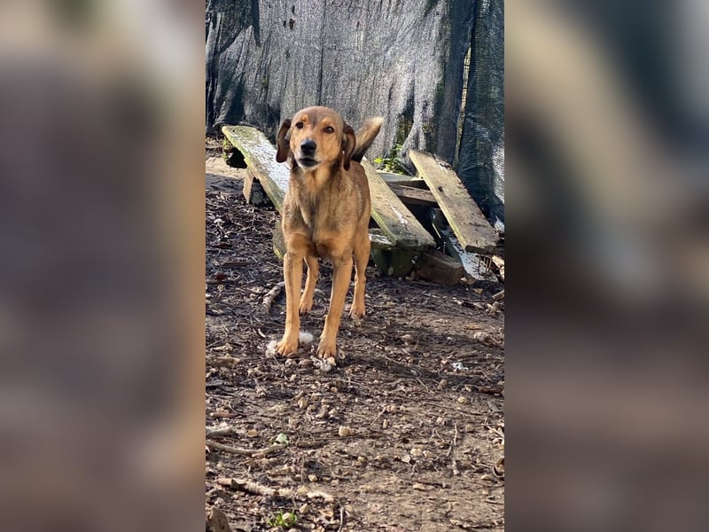 Kiro - Einmal alles auf (Neu)Anfang bitte!