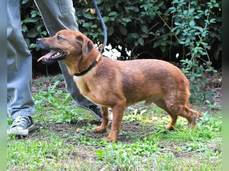 Monaldo - In der Ruhe liegt die Kraft!