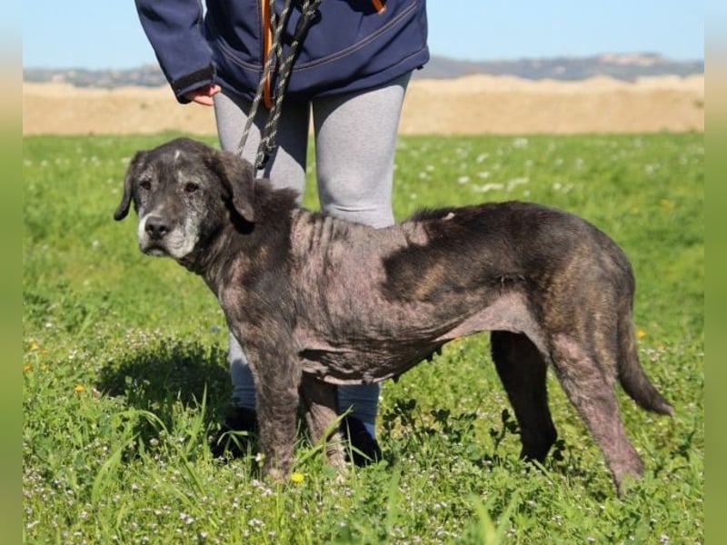Gweni - SOS - Hoffnung auf ein Ende der Odyssee