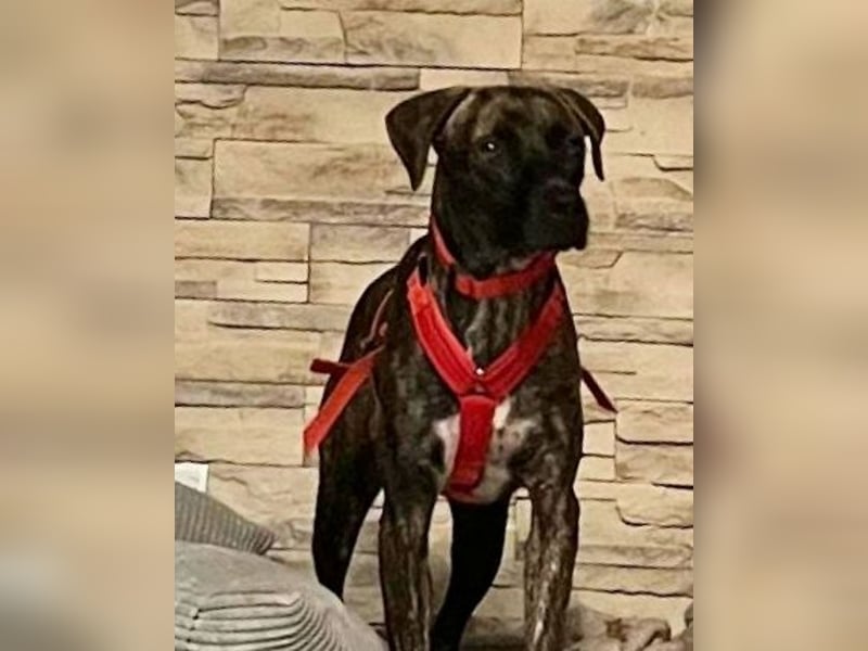 Branson - taut langsam auf und sucht Menschen mit Zeit