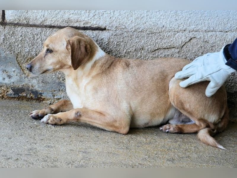 Bendix - wenn du mutig bist, dann bin ich es auch!