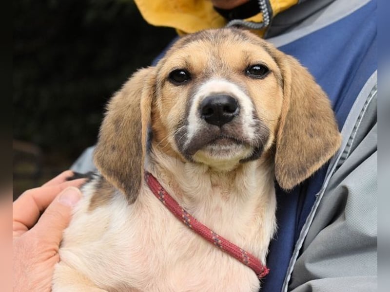 Wasker - Als Mama noch bei uns war