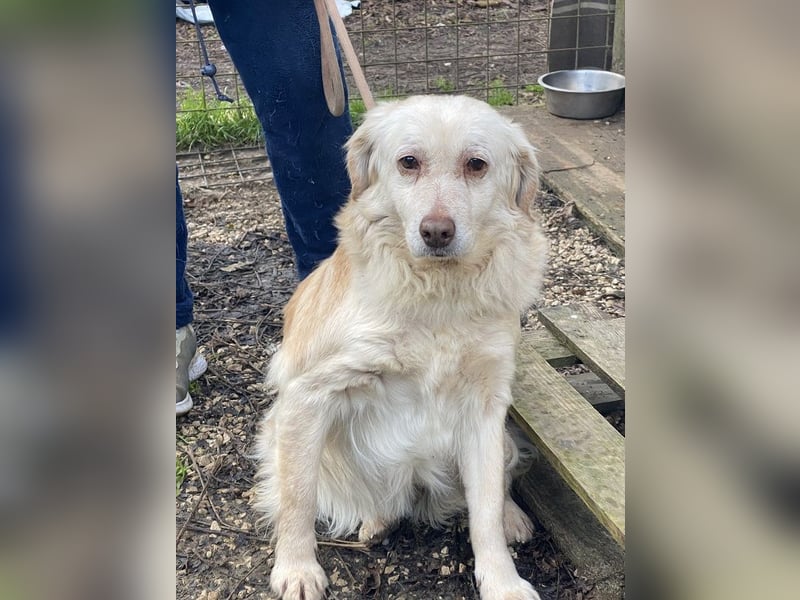 Ruby - wenn aus vorsichtigem Mut echtes Vertrauen wächst