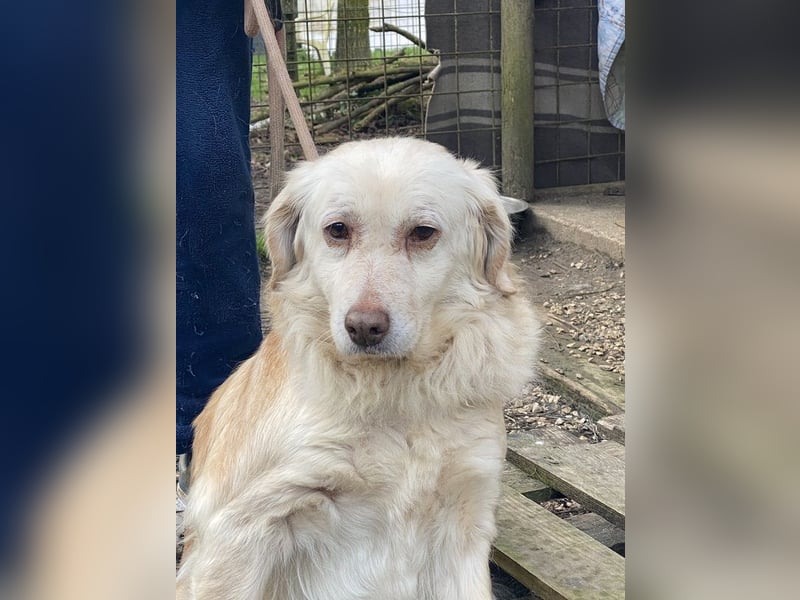 Ruby - wenn aus vorsichtigem Mut echtes Vertrauen wächst