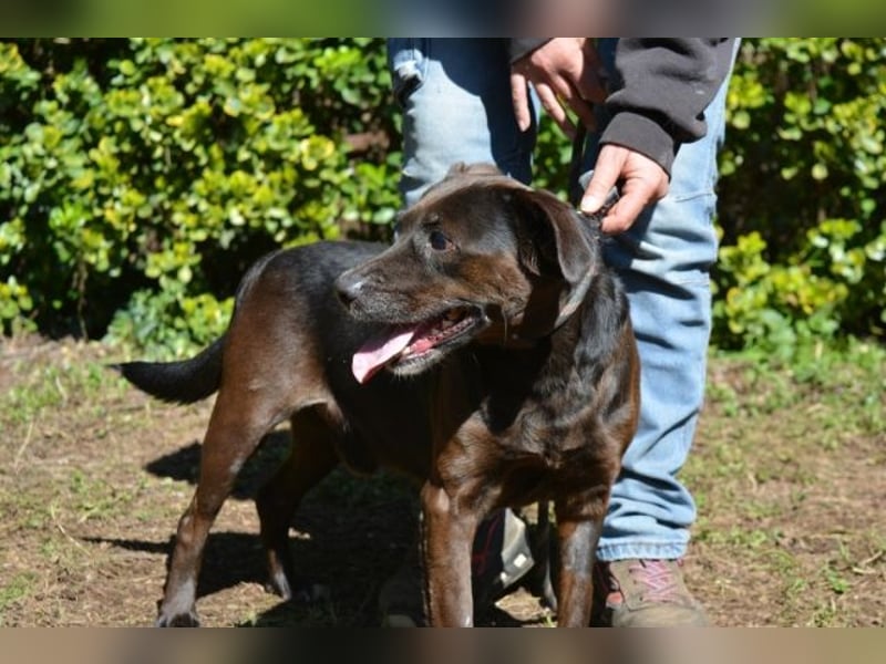 Rellyt - mit dem ganz besonderen Blick Rellyt - mit dem ganz besonderen Blick