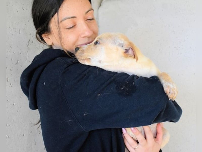 Sniffy - ...und Sirette halten zusammen