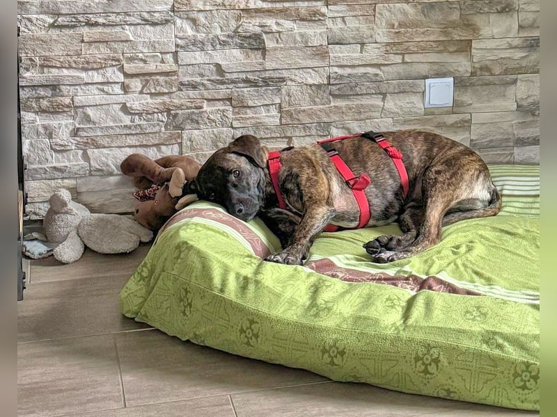 Branson - taut langsam auf und sucht Menschen mit Zeit