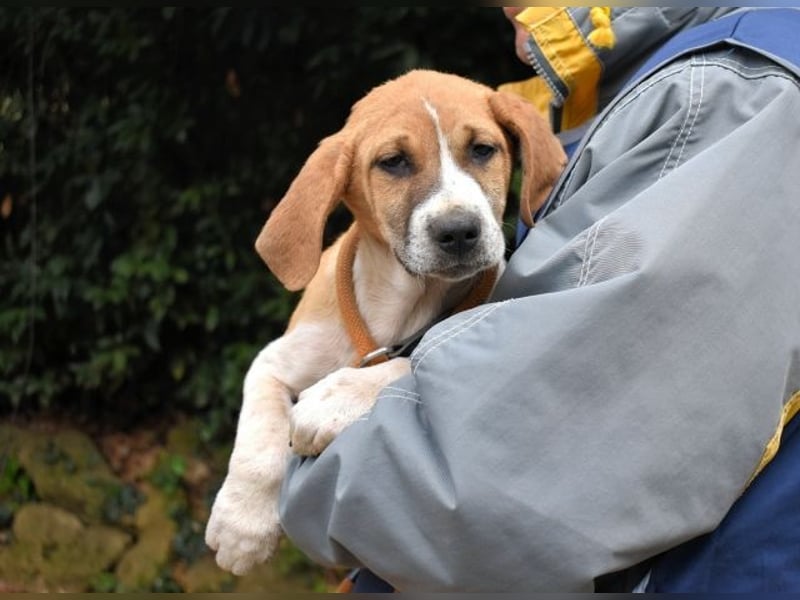 Waylo - Als Mama noch bei uns war