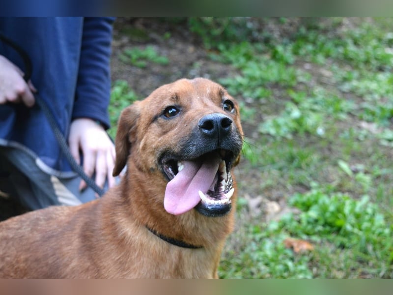 Monaldo - In der Ruhe liegt die Kraft!