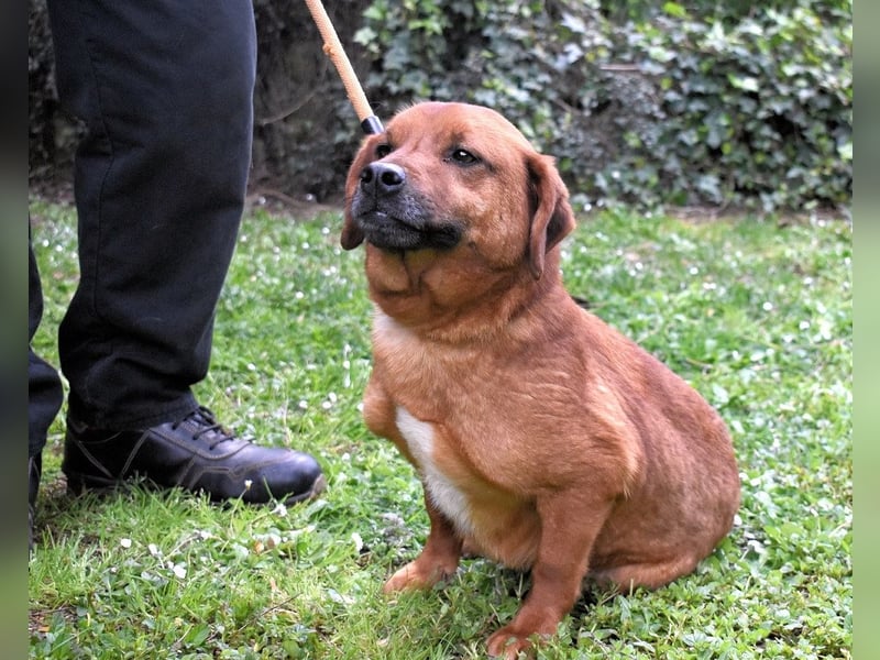 Monaldo - In der Ruhe liegt die Kraft!