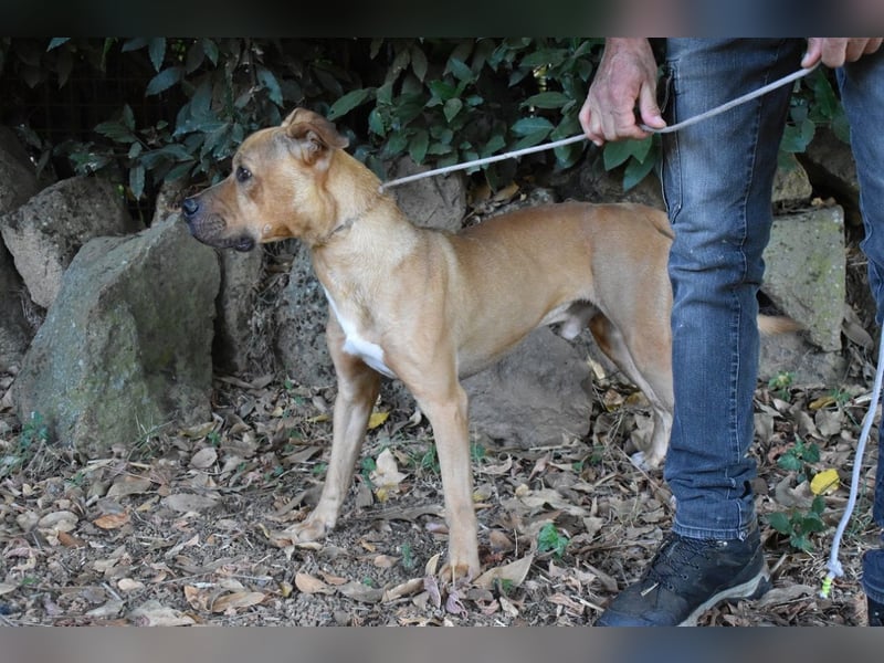 Moises - Wie kannst Du sein?