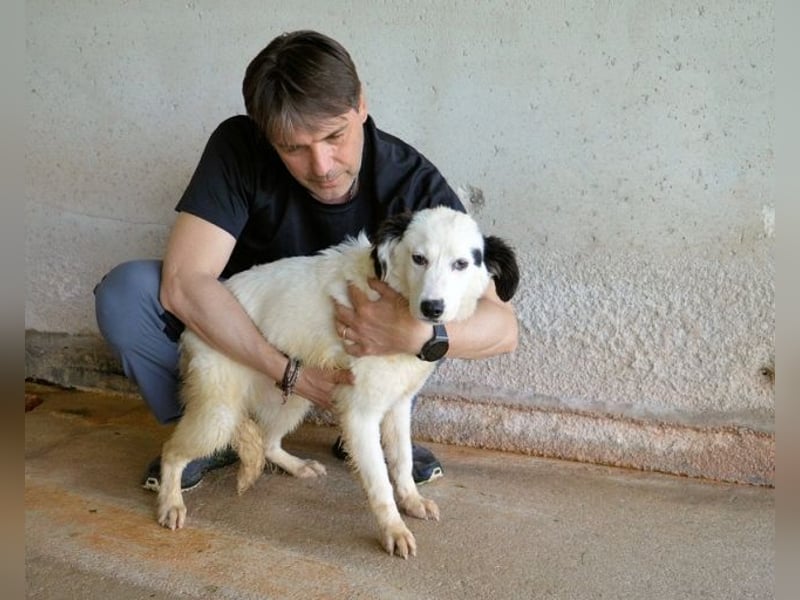 Rylando - Ein Anfang, der nie kam