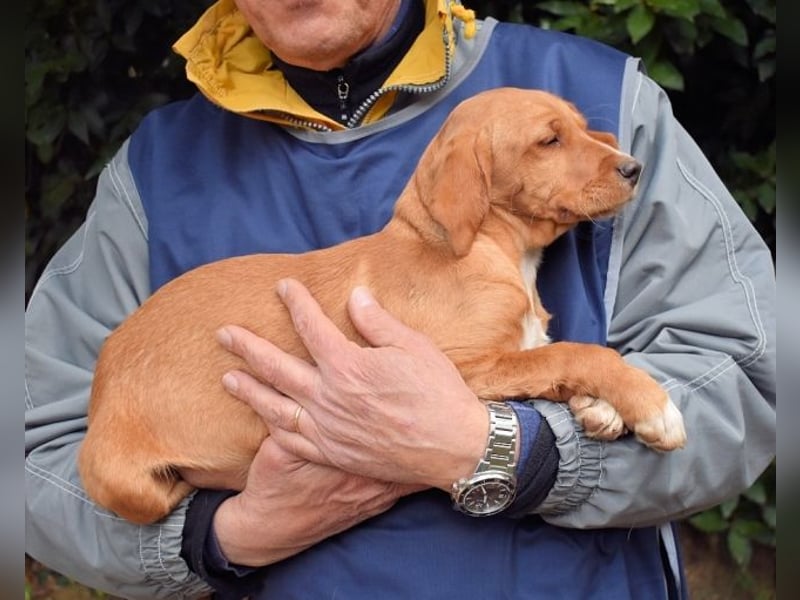Wixelle - Als Mama noch bei uns war