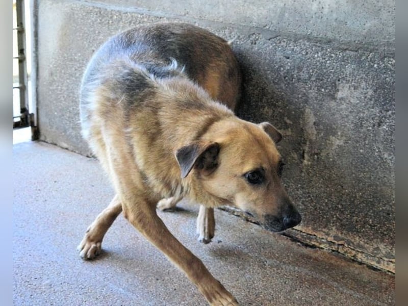 Alphonza - "...alles Gedeihen beruht auf Geduld..."