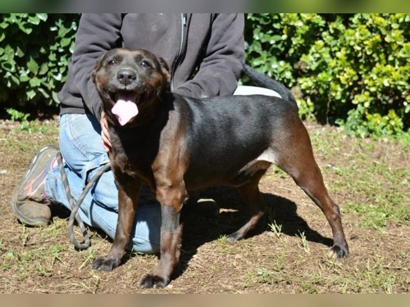 Rellyt - mit dem ganz besonderen Blick