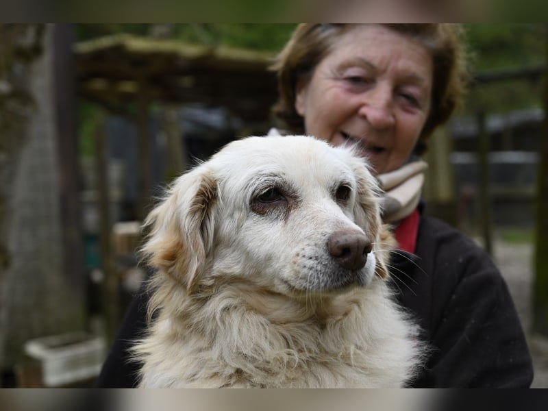 Ruby - wenn aus vorsichtigem Mut echtes Vertrauen wächst